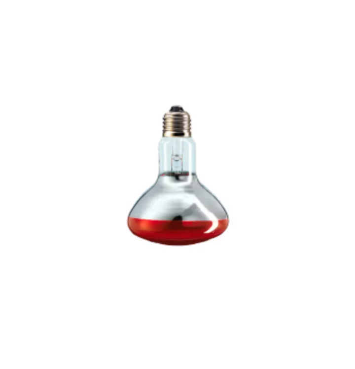 ROCAM LOSI s.r.l. INFRAŽÁROVKA 250 W 1 KS - ČERVENÉ SVĚTLO